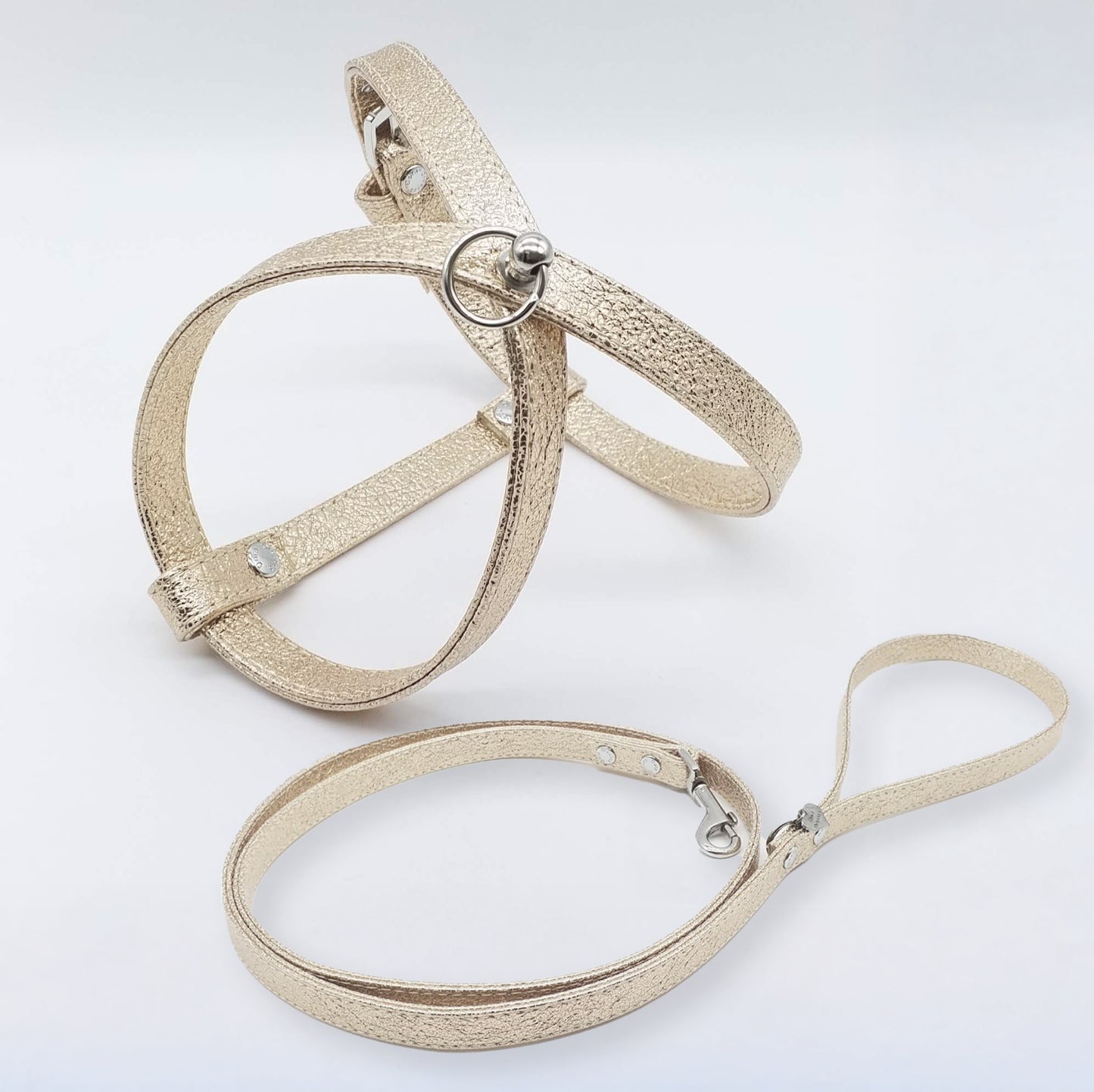 Harness and Leash Set in Eco-Leather with Stars