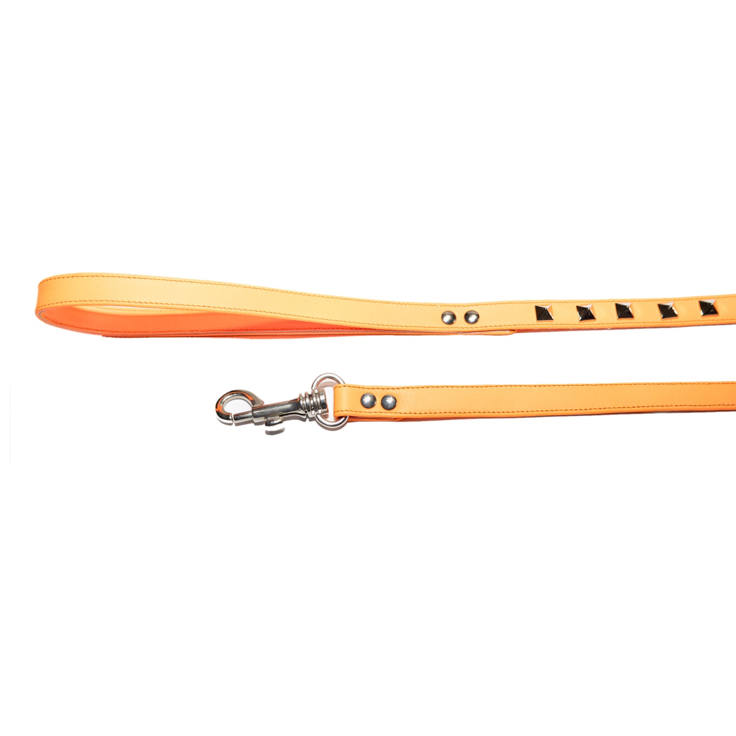 Fluo leash