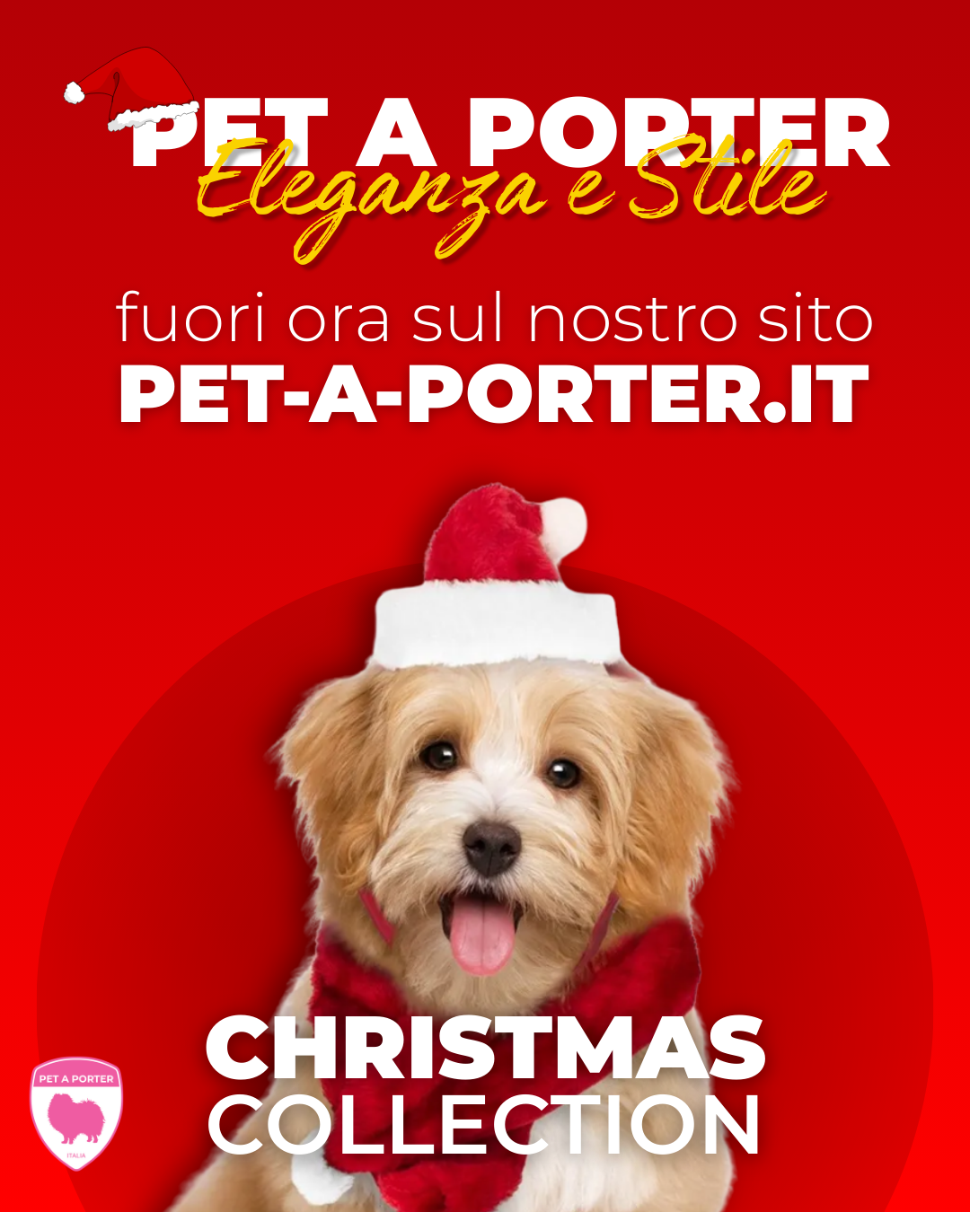 Christmas Collection 2025