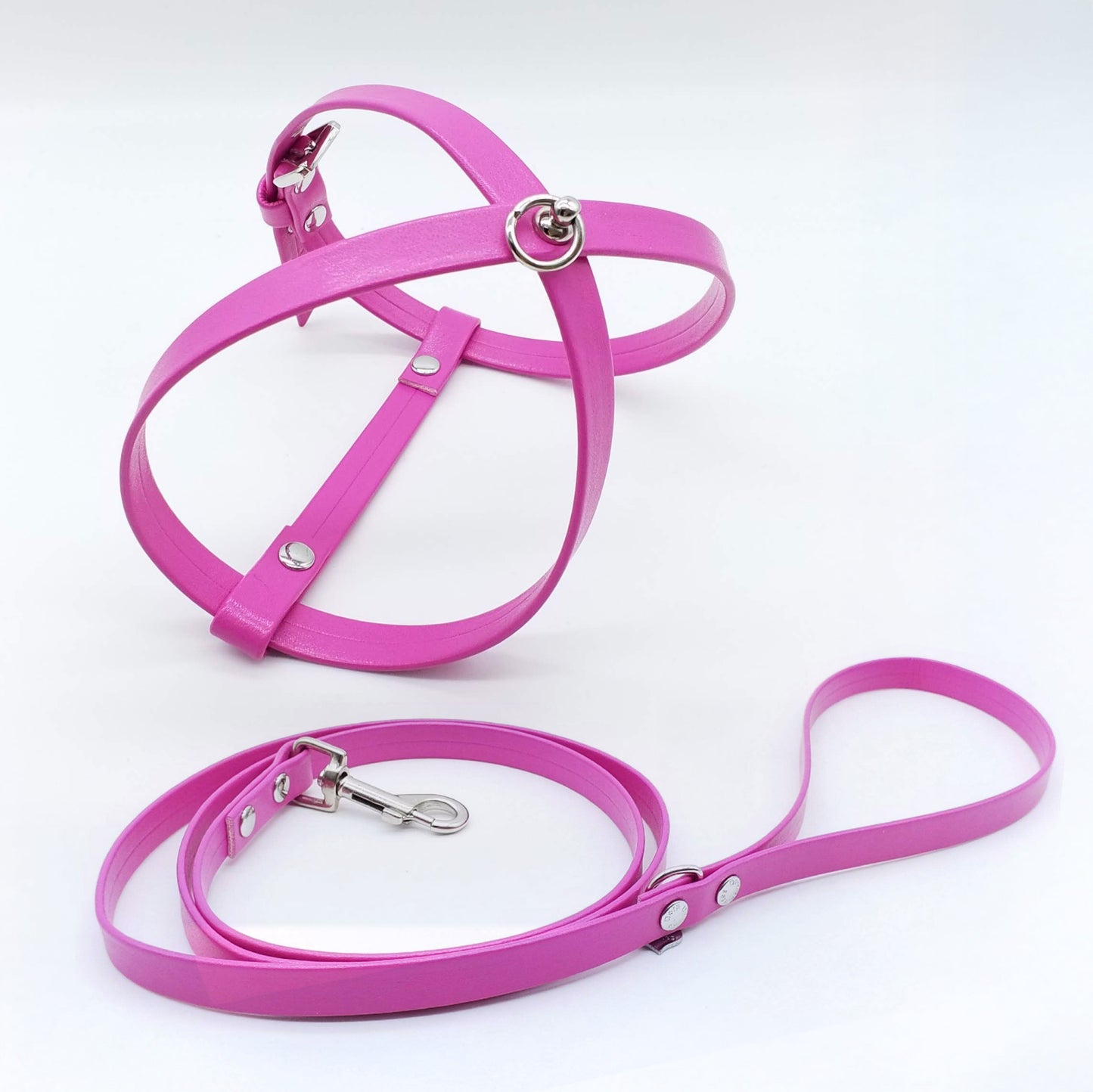 Harness and Leash Set in Eco-Leather with Stars