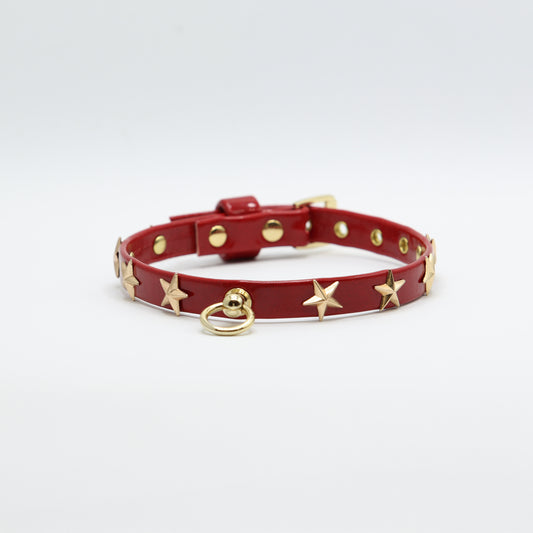 Eco-Leather Collar + Rouches Leash Set