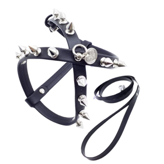 Harness and Leash Set in Eco-Leather with Double Row of Studs