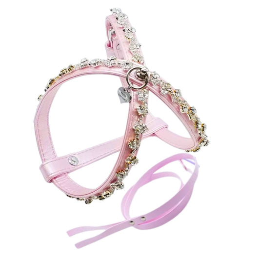 Set Pettorina e Guinzaglio in Ecopelle con Cristalli