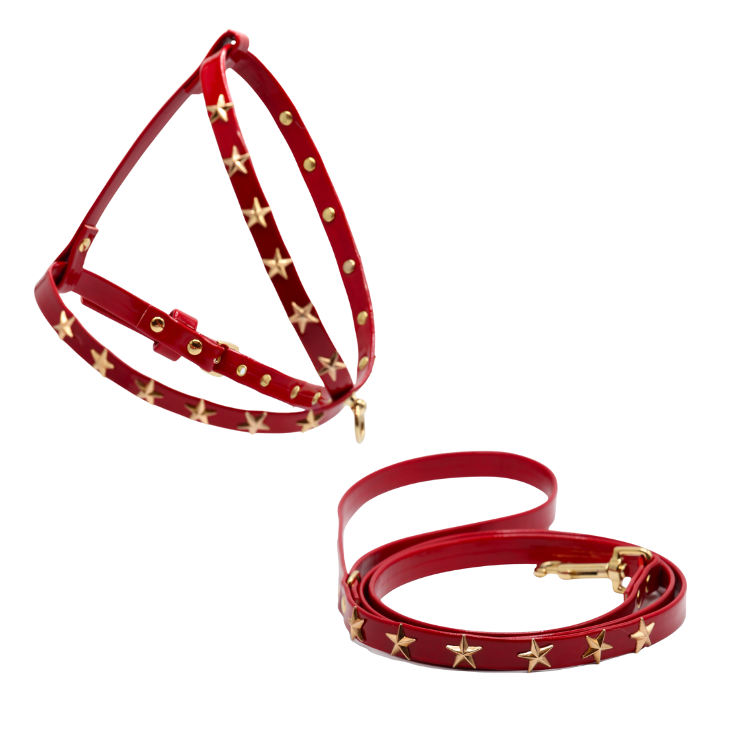CHRISTMAS - Set Pettorina e guinzaglio in ecopelle rosso con stelle oro -  Fatto a Mano