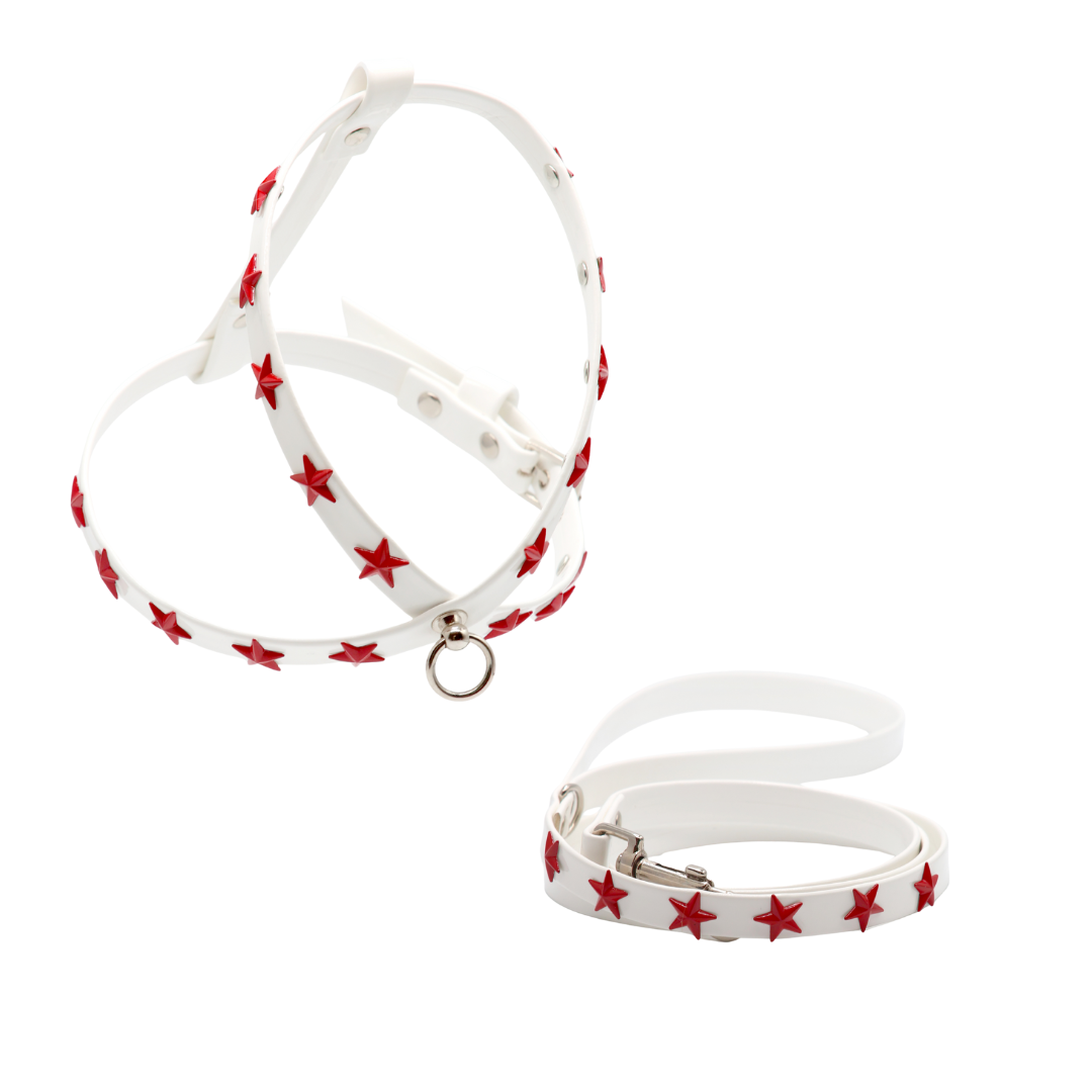 Harness and Leash Set in Eco-Leather with Stars
