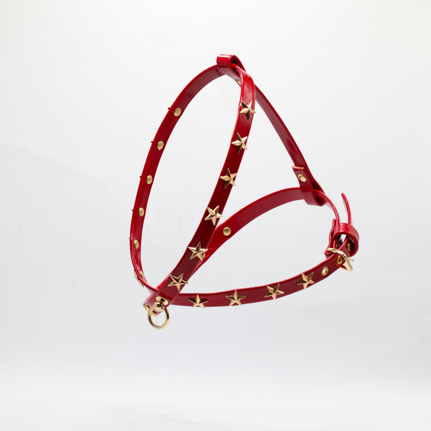 Harness and Leash Set in Eco-Leather with Double Row of Studs