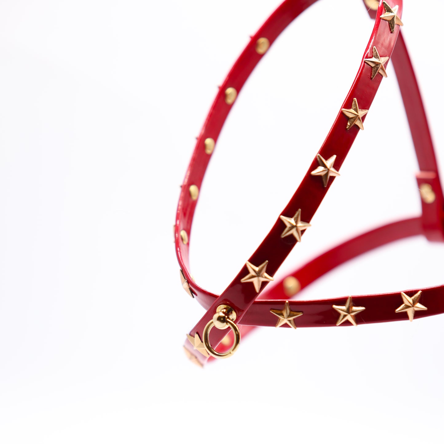 Harness and Leash Set in Eco-Leather with Double Row of Studs